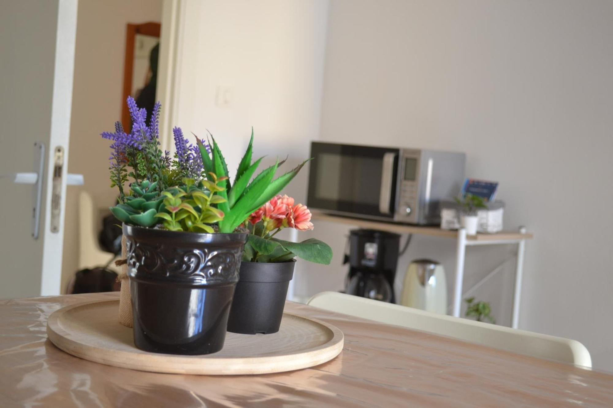 Appartamento 4 Country Side - Center Palermo